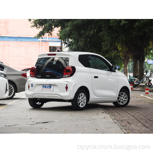 Auto energy electric car mini small car family use hot selling high quality